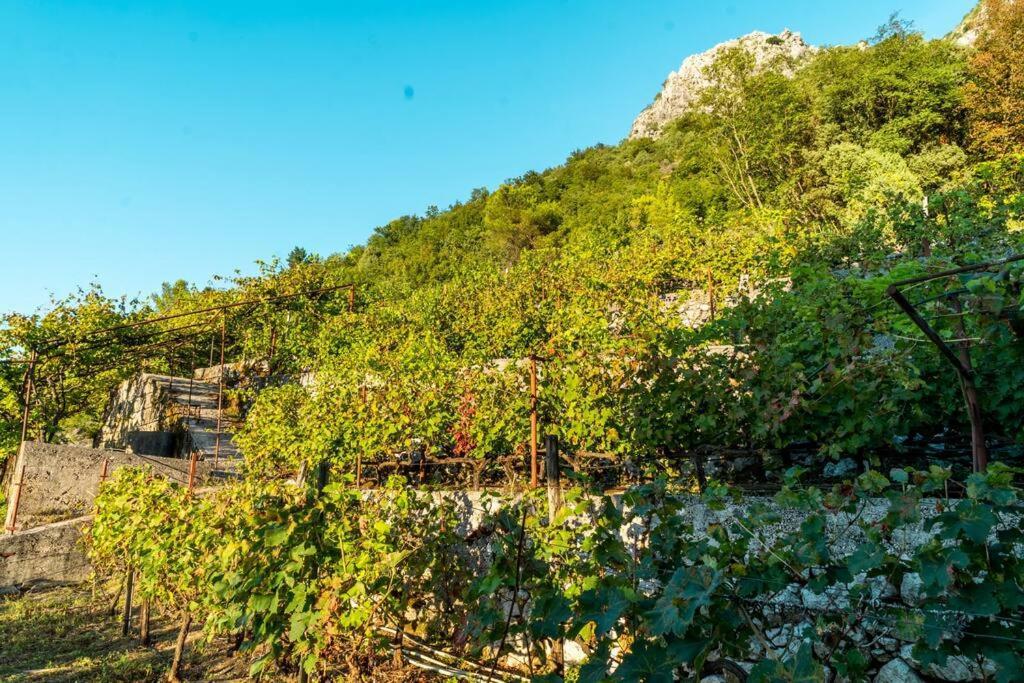 Pavle'S Oasis Villa Virpazar Buitenkant foto