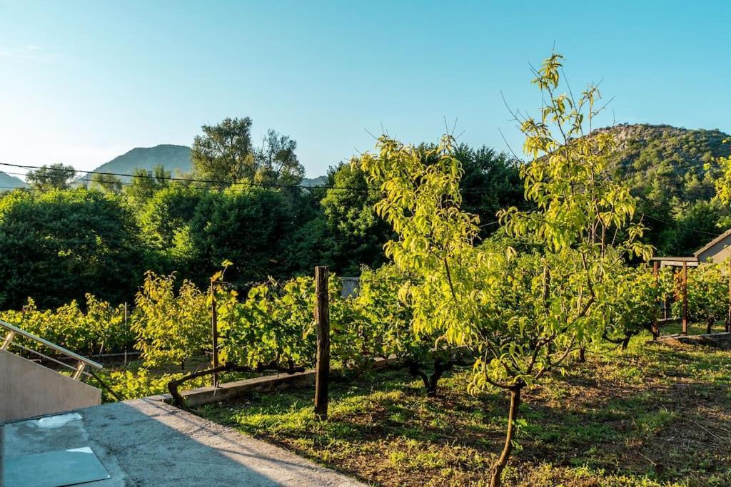 Pavle'S Oasis Villa Virpazar Buitenkant foto